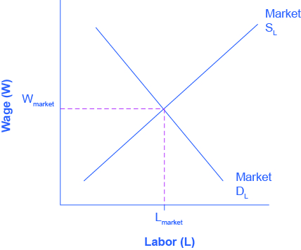 The graph compares the demand and supply for labor. The x-axis is Labor, and the y-axis is Wages. The Demand for Labor curve slopes downward from the top left to the bottom right. The Supply for Labor slopes upward from the bottom left to the top right. The two curves intersect at the equilibrium wage and employment level.