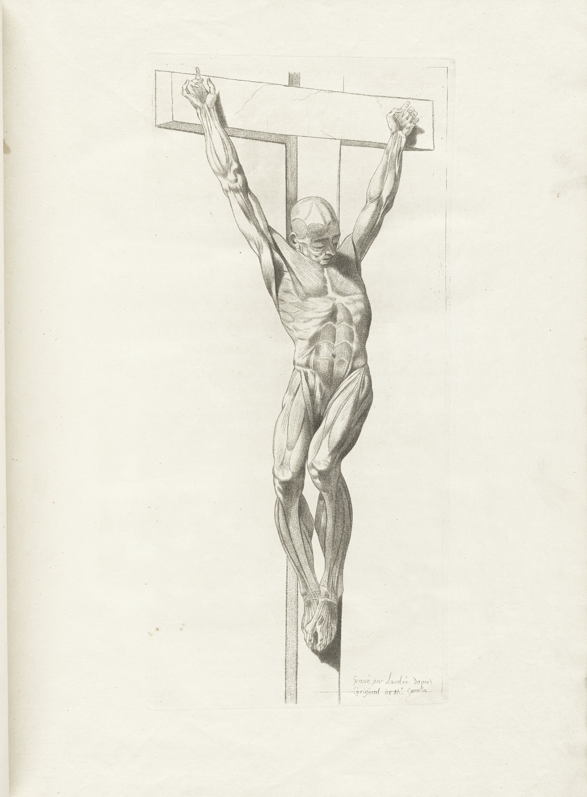 An engraving of a flayed male figure nailed to a cross, showing the muscles