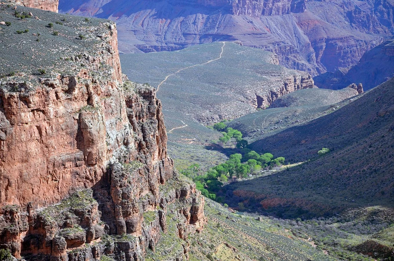 Looking down from a sheer cliff onto a plateau cut by a drainage lined with green cottonwoods.