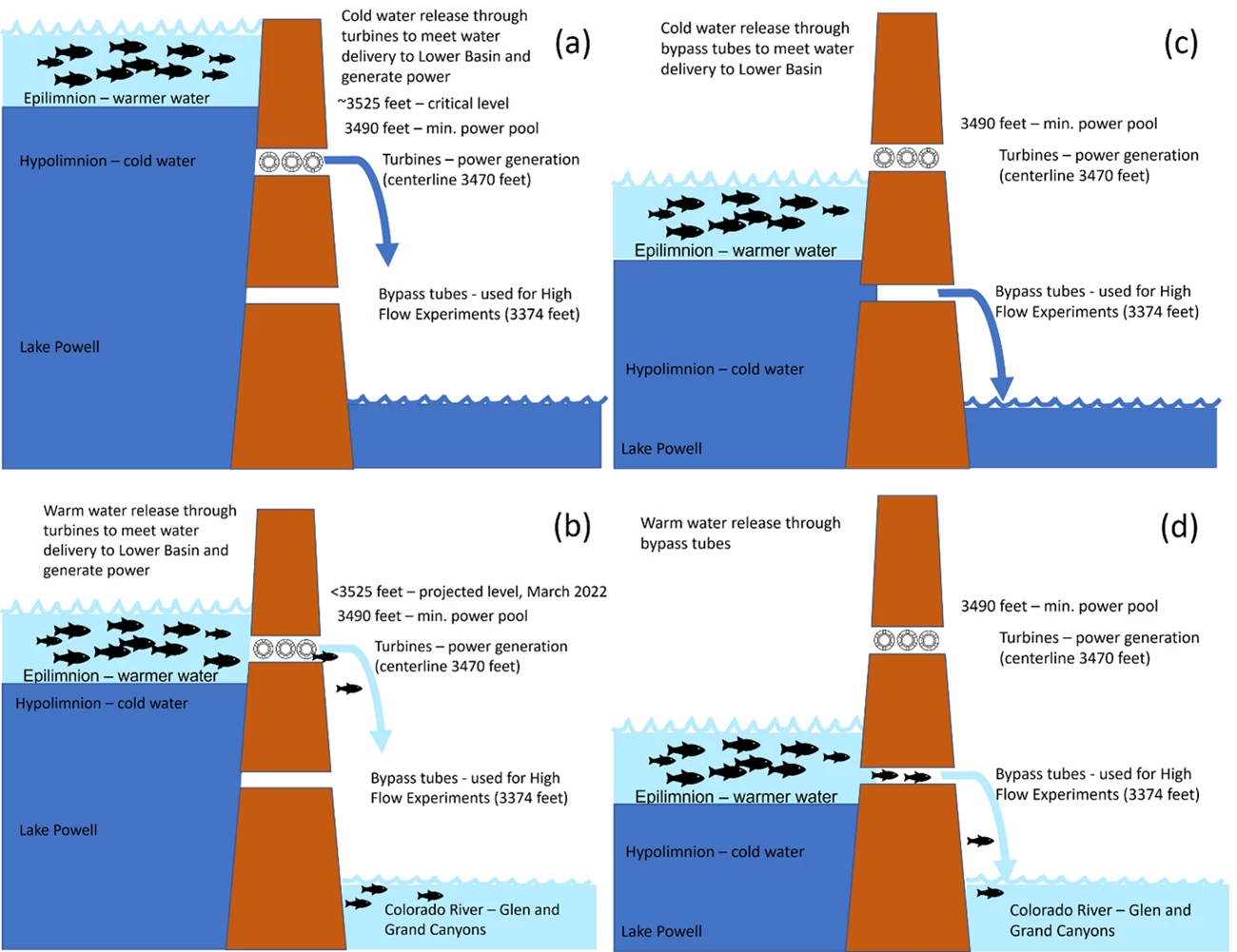 A four-part conceptual model that shows different water levels and associated risks for invasive fish introduction.