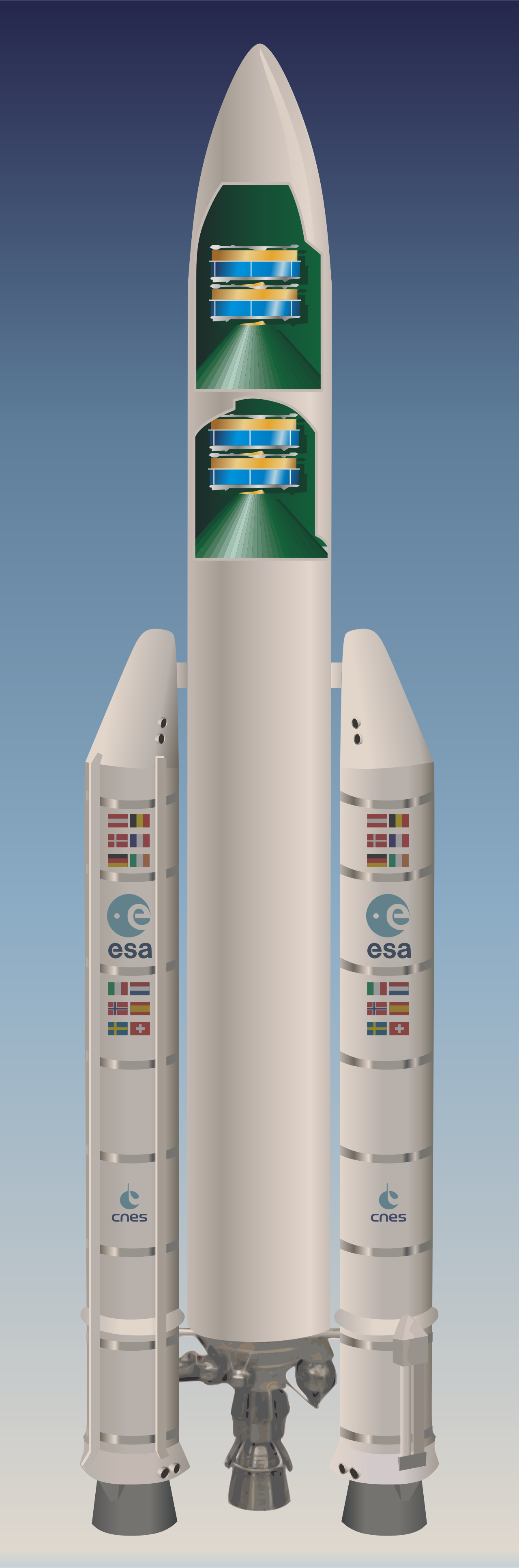 Ariane 501 Cluster
