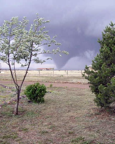 A tornado beyond a building and trees in open grassland.
