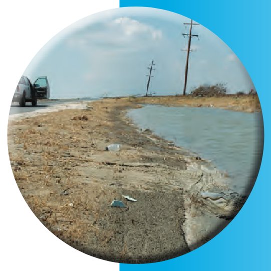 Impacts of Hurricane Katrina on floodplain forests of the Pearl River