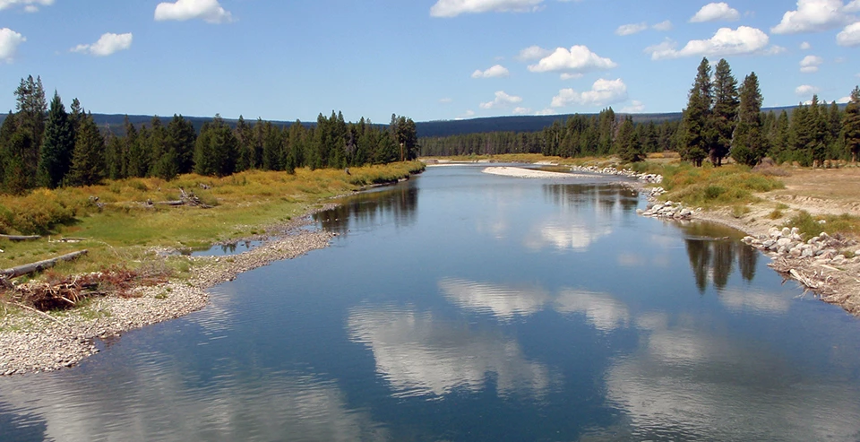 A blue river reflecting sky, clouds and scattered conifers.