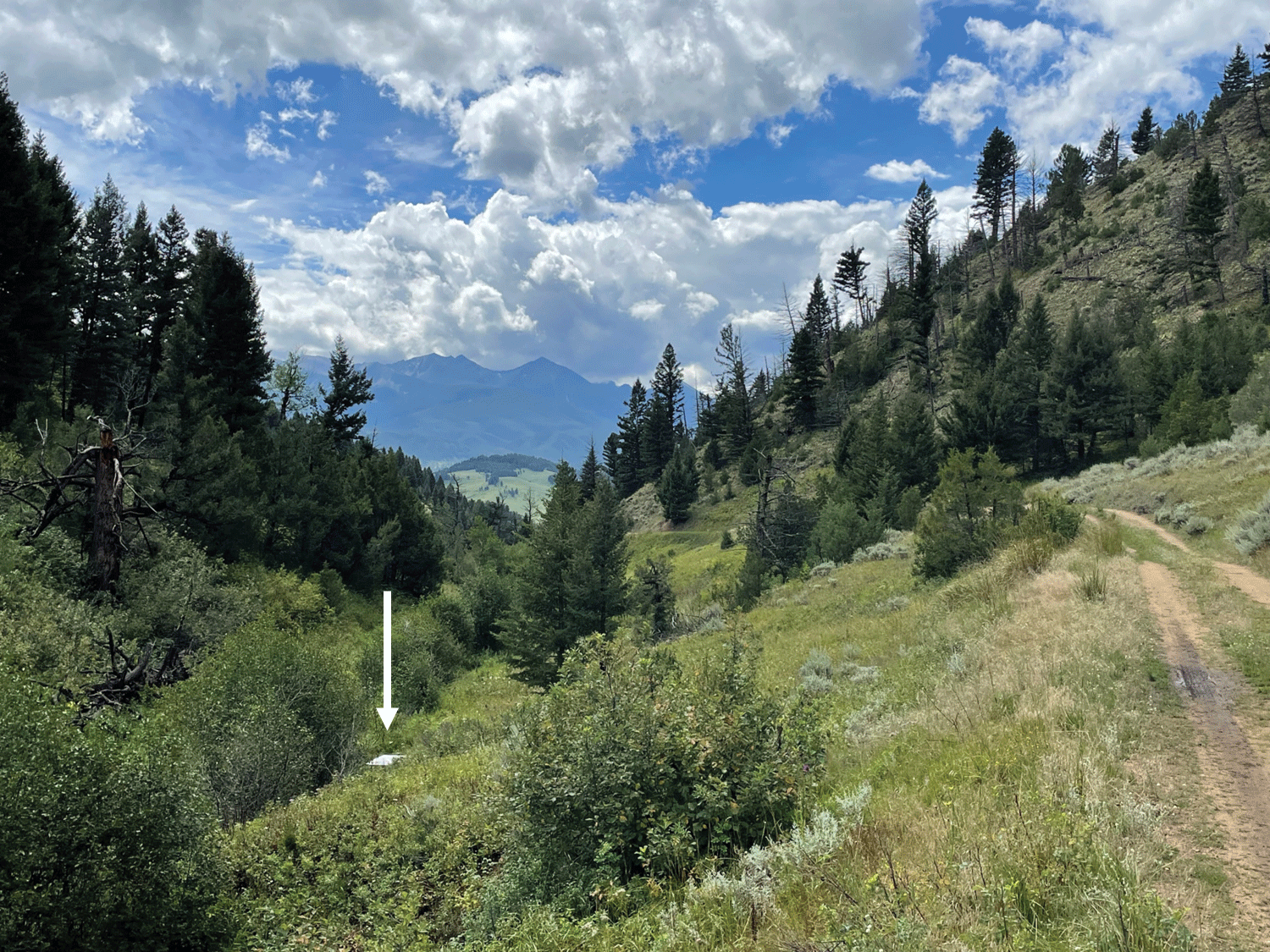 An eDNA autosampler beside a mountain creek