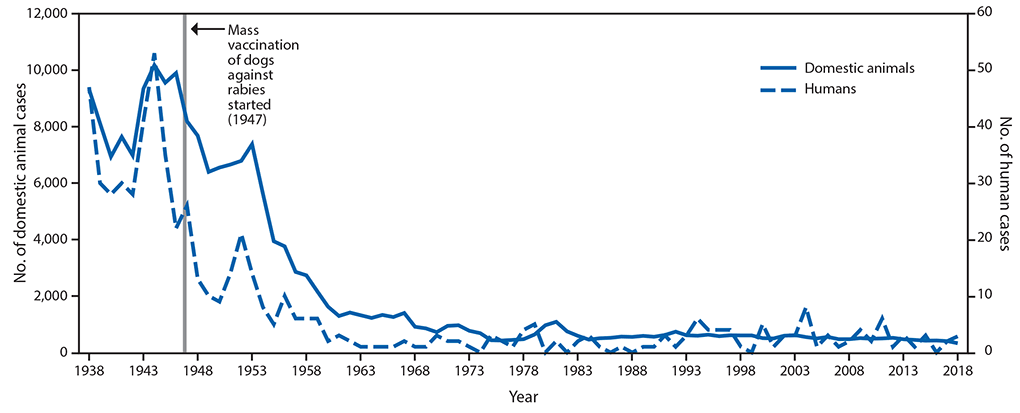 Line graph of rabies cases in humans and domestic animals in the United States, 1938–2018.