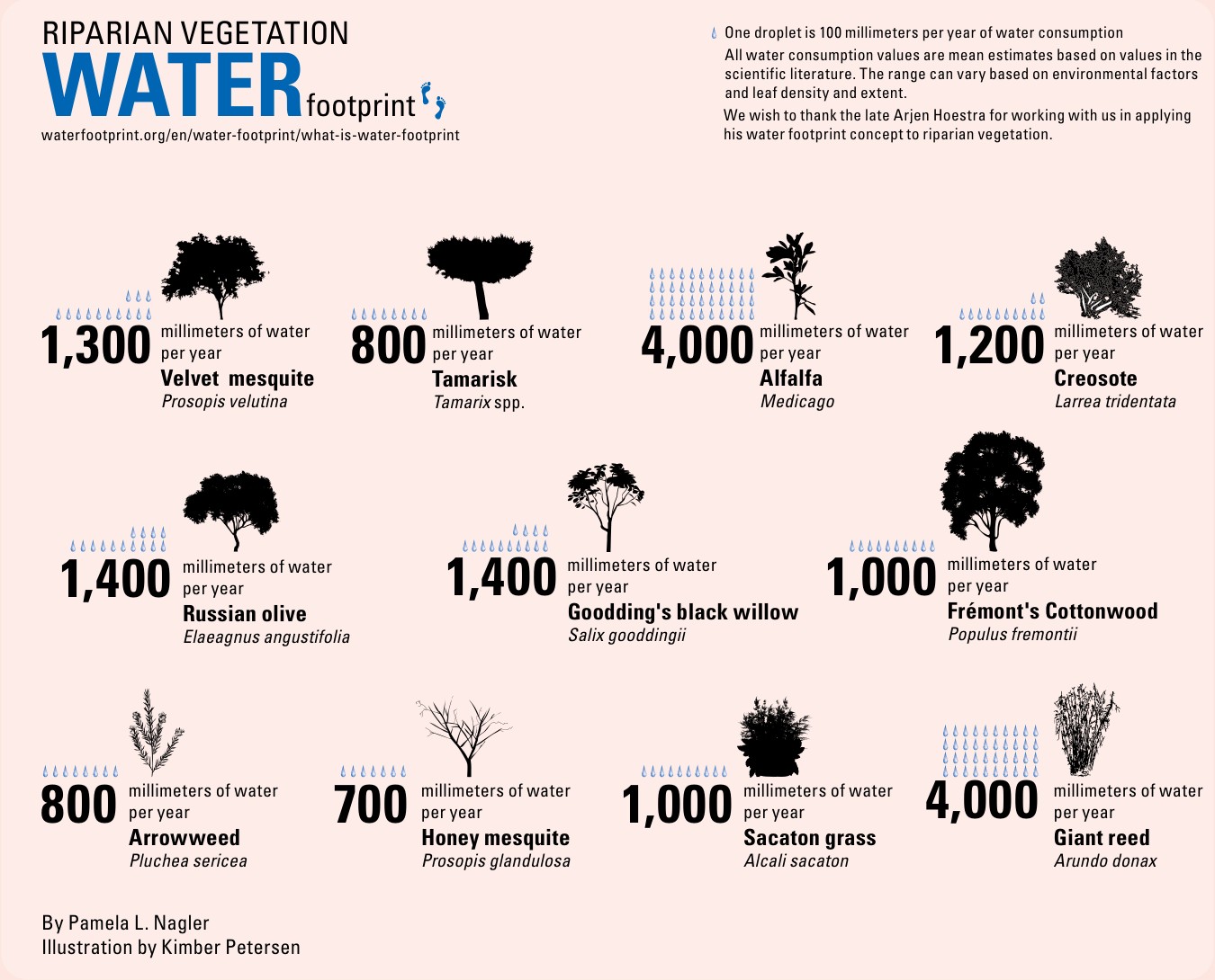 Diagram of mean yearly water use by Southwestern plants, one droplet per 100 millimetres.