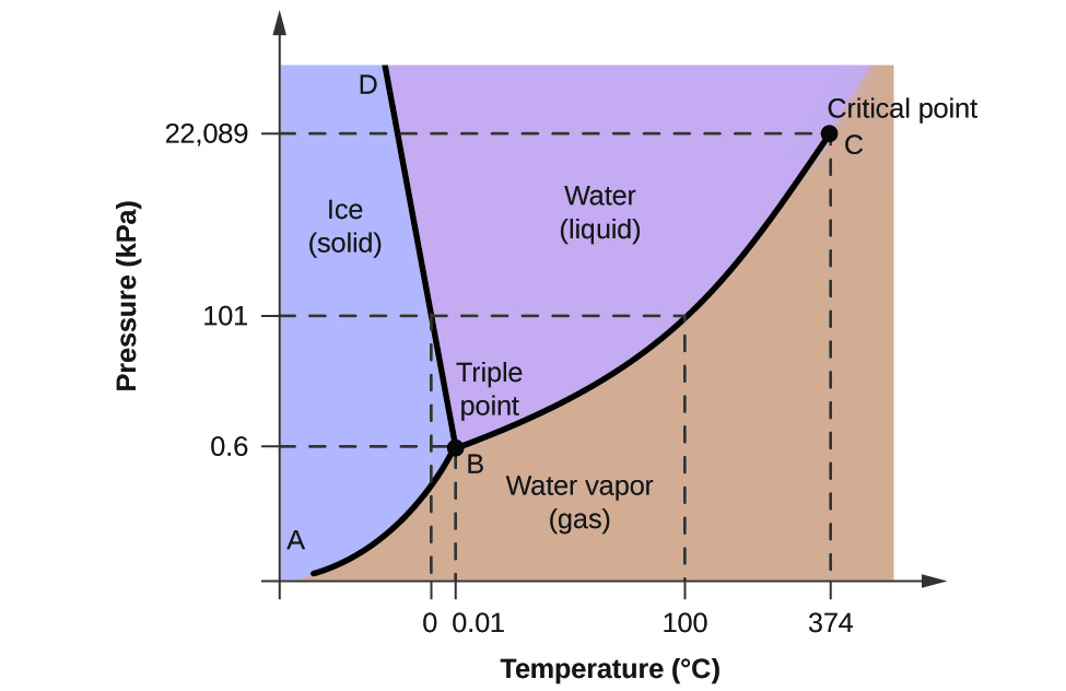 A graph is shown where the x-axis is labeled “Temperature in degrees Celsius” and the y-axis is labeled “Pressure ( k P a ).” A line extends from the origin of the graph which is labeled “A” sharply upward to a point in the bottom third of the diagram labeled “B” where it branches into a line that slants slightly backward until it hits the highest point on the y-axis labeled “D” and a second line that extends to the upper right corner of the graph labeled “C”. C is labeled “Critical point, with a dotted line extending downward to the x-axis labeled 374 degrees Celsius, and another dotted line extending to the y-axis labeled 22,089 k P a. The two lines bisect the graph area to create three sections, labeled “Ice (solid)” near the middle left, “Water (liquid)” in the top middle and “Water vapor (gas)” near the bottom middle. Point B is labeled “Triple point” and has a dotted line extending downward to the x-axis labeled 0.01, and another dotted line extending to the y-axis labeled 0.6. Halfway between points B and C a dotted line extends from the originally discussed line downward to the point 100 degrees Celsius on the x-axis, and another dotted line extends to the y-axis at 101 k P a. Another dotted line extends from this dotted line downward at 0 degrees Celsius.
