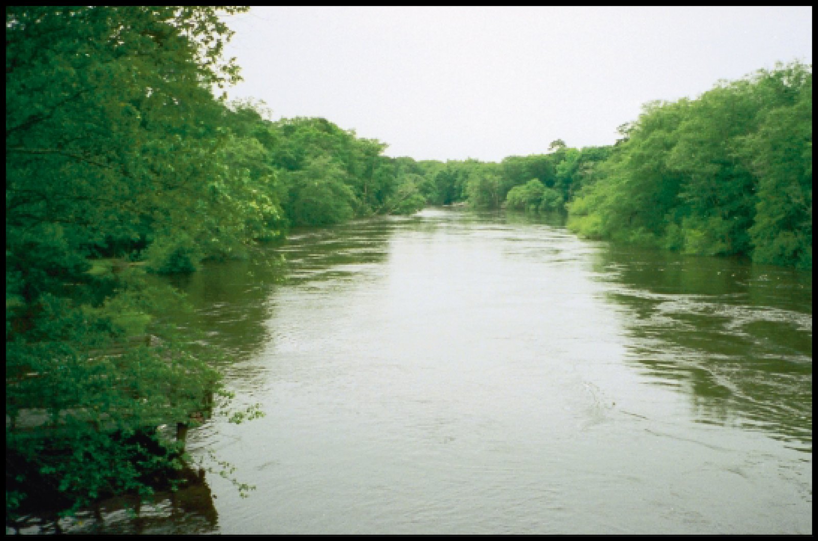 Water quality in the Santee River basin and coastal drainages, North and South Carolina, 1995-98