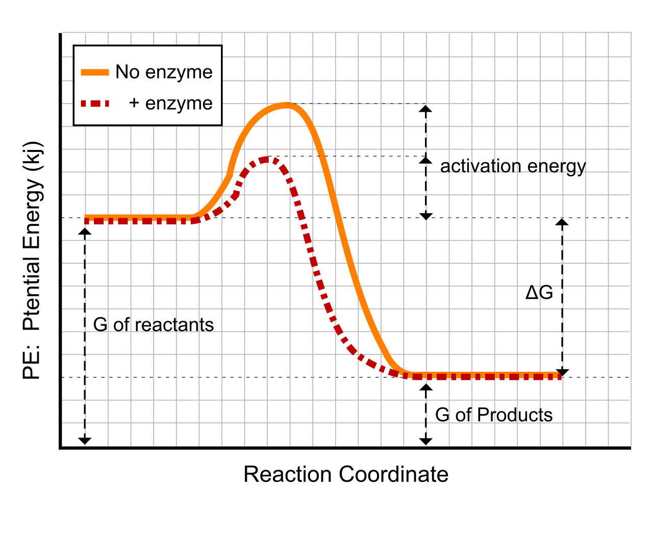 Enzymes free energy change en