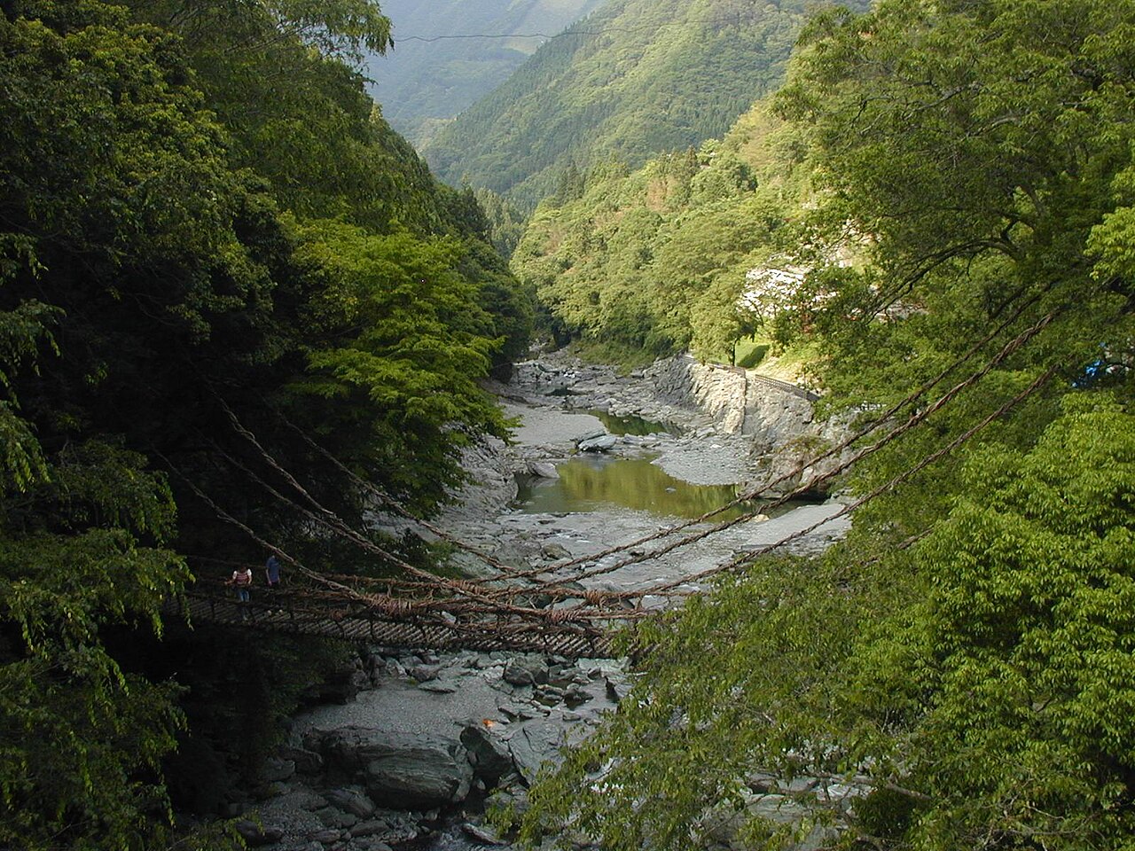 লতা-সেতু, ইয়া উপত্যকা