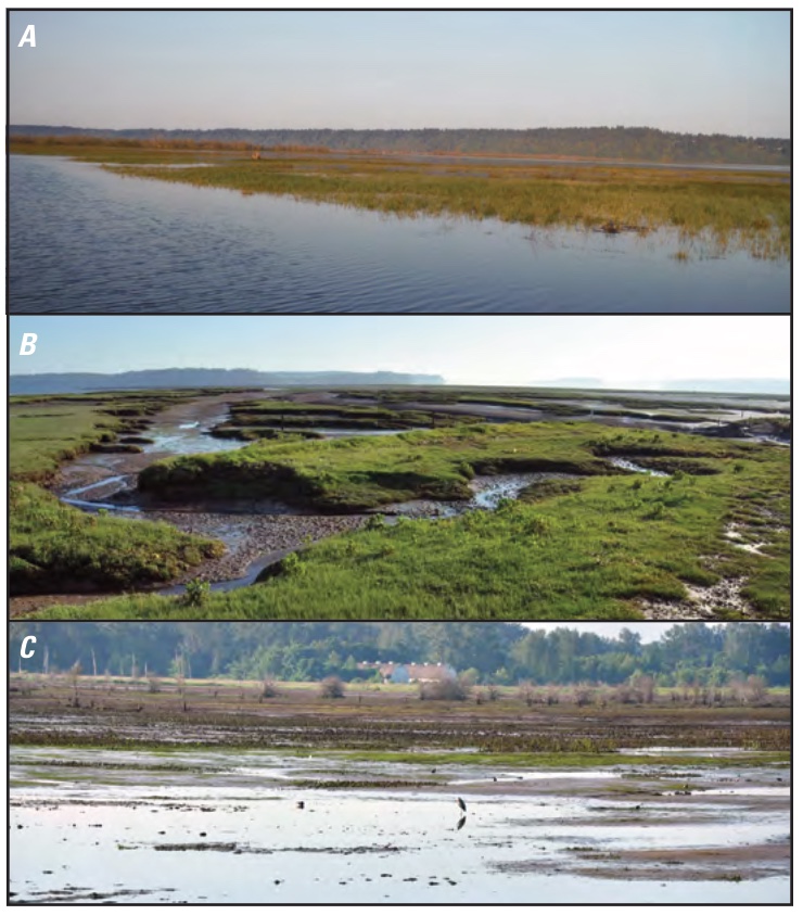 Three photos of Nisqually marshes: a reference marsh at spring high tide, the same marsh at summer low tide, and a restoration marsh at low tide