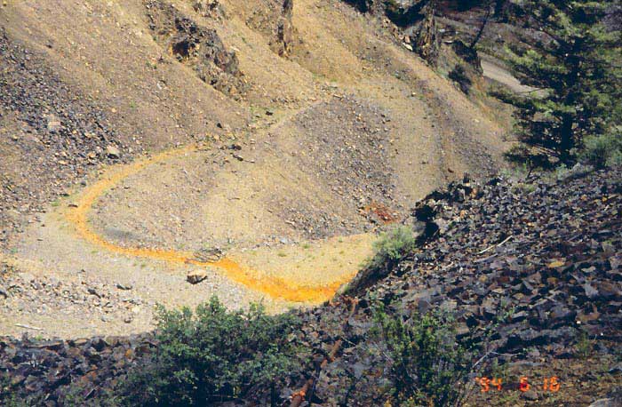 This was the condition of the Blackbird Creek mining site in 1994. The Idaho Blackbird Creek — the yellowish streak — is on the left. This creek is devoid of life because high levels of copper have leached from the mine into the creek.