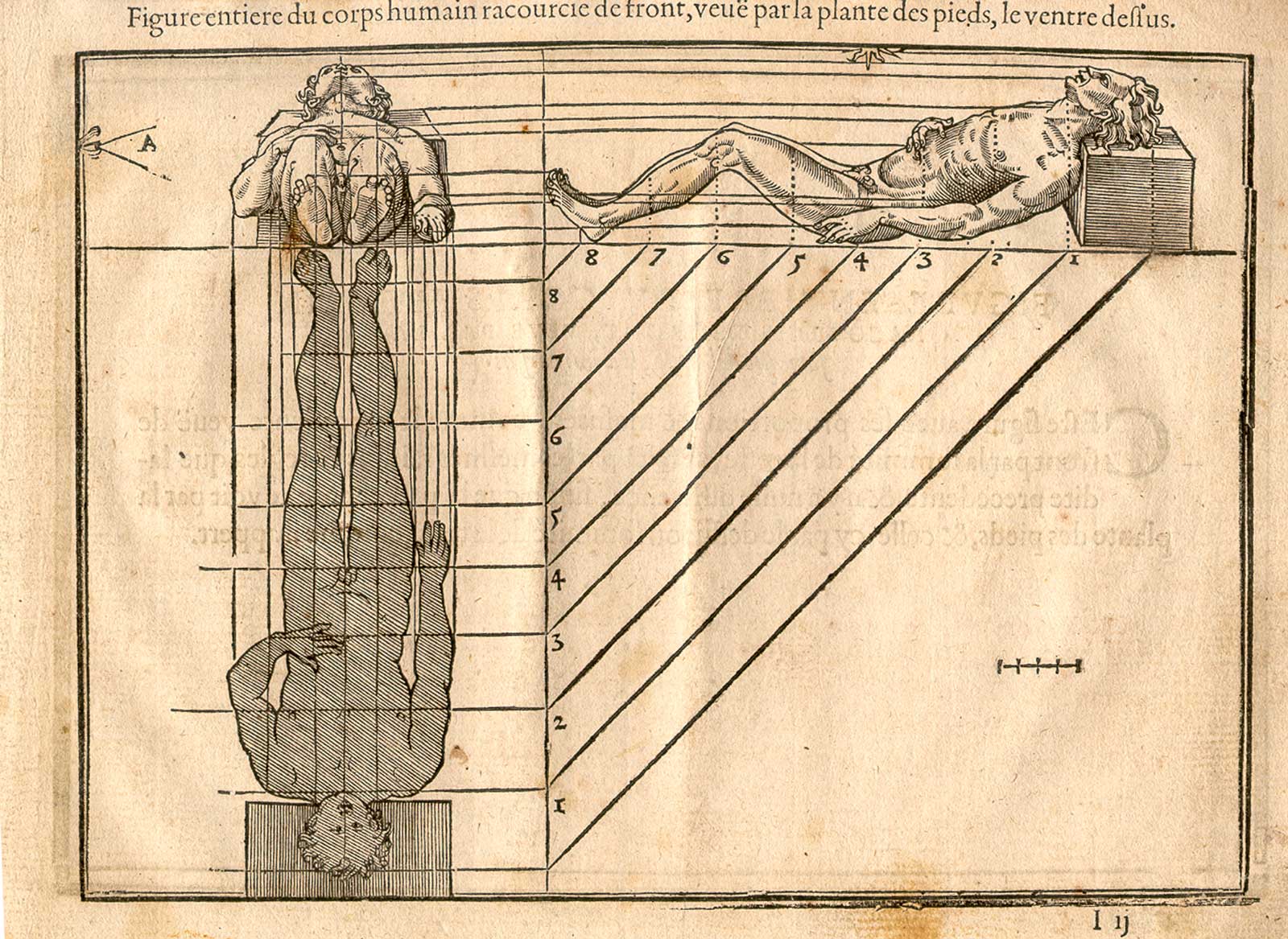 Two figures lying on their backs, seen from the side and from the feet