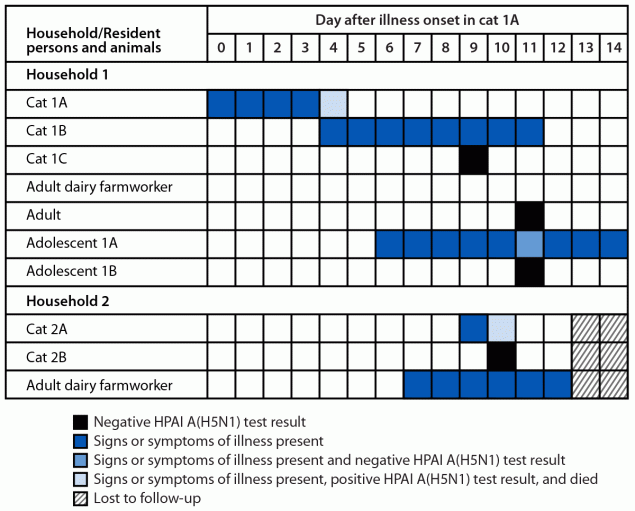 Timeline of illness and tests in both households