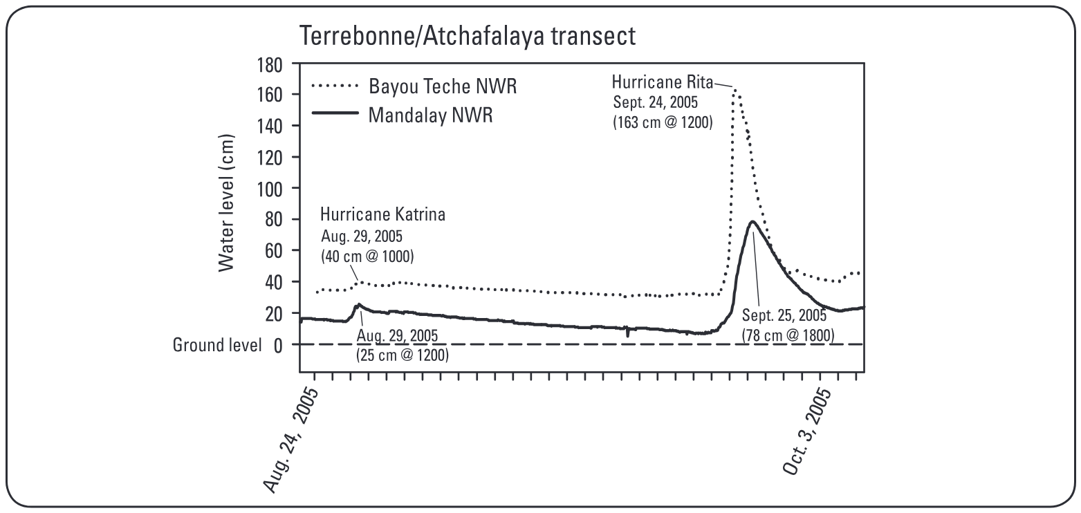 Water levels above ground level within coastal baldcypress (Taxodium distichum) swamp sites at Bayou Teche National Wildlife Refuge (NWR) and Mandalay NWR in Louisiana for summer a