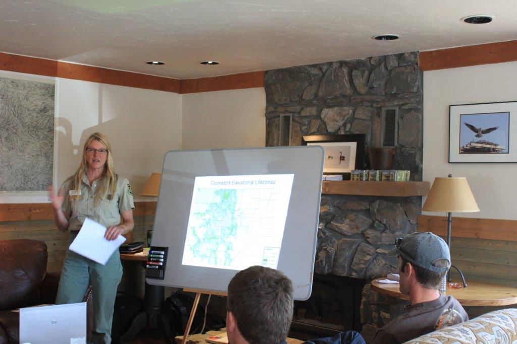 woman giving out a presentation