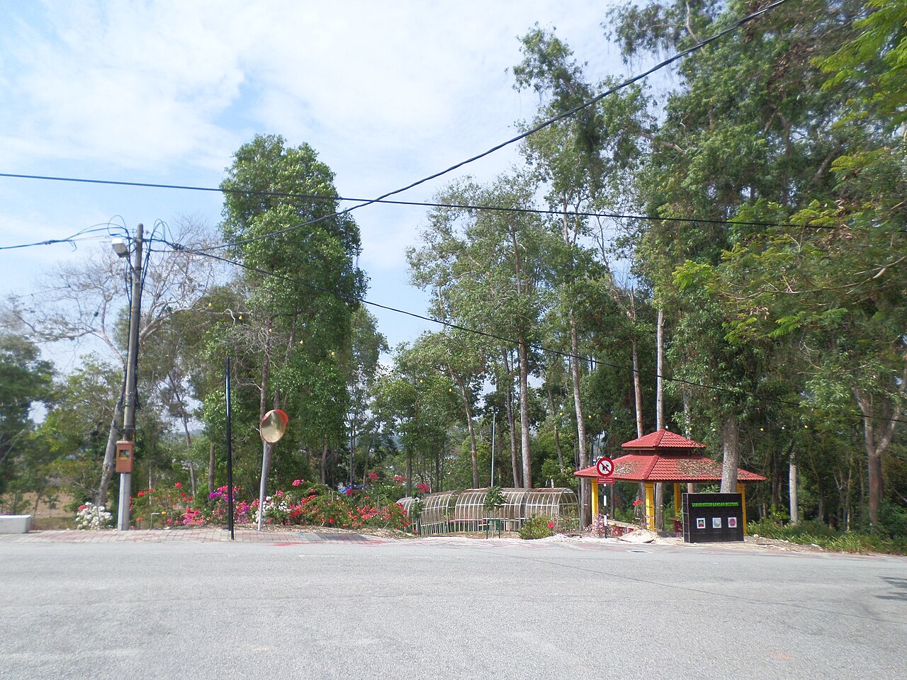 মার্সিং টাউন ফরেস্ট পার্ক