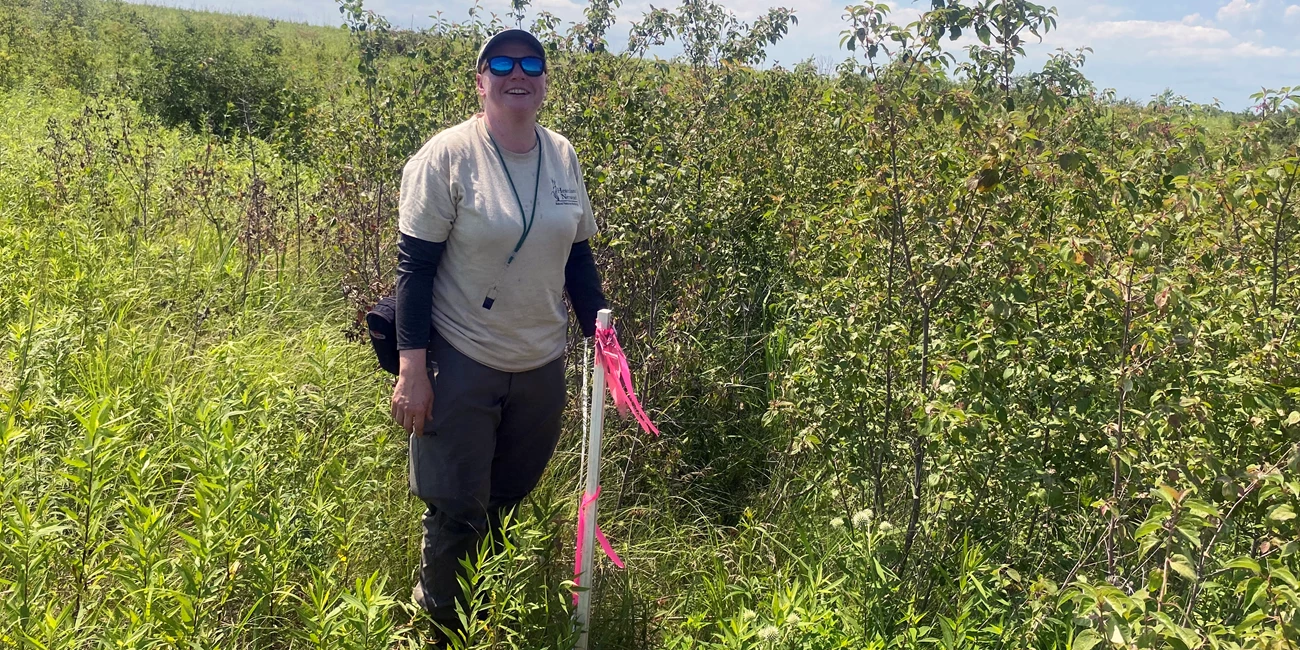 A scientist beside a flagged pole in tall prairie plants with small trees