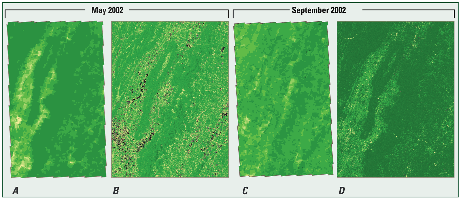 Examples of Advanced Very High Resolution Radiometer (AVHRR) (A and C) and Landsat Thematic Mapper (TM) (B and D) satellite imagery for the study area in late May and early Septemb