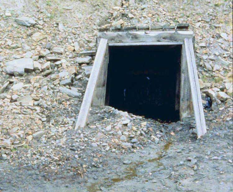 This image show s an “adit” or mine opening, at Blackbird Mine, Lemhi County, Idaho, c. 1994-1998. The water that can seep out of mine openings often is very acidic and can be contaminated with zinc, copper, or arsenic.