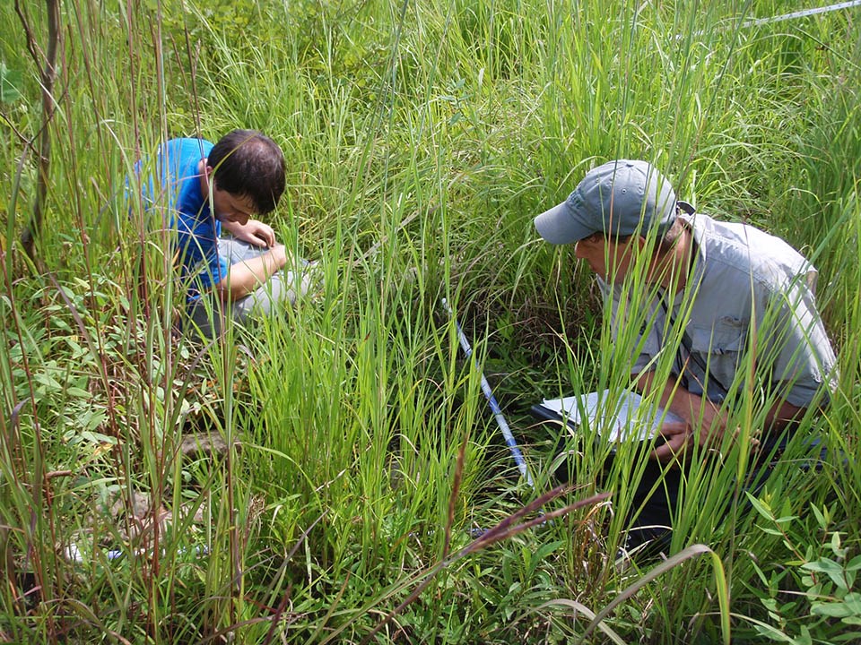 Two people sitting on the ground recording data at a vegetation monitoring plot.