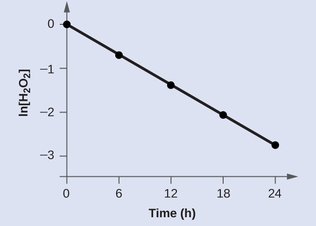 A graph is shown with the label “Time ( h )” on the x-axis and “l n H subscript 2 O subscript 2 ” on the y-axis. The x-axis shows markings at 6, 12, 18, and 24 hours. The vertical axis shows markings at negative 3, negative 2, negative 1, and 0. A decreasing linear trend line is drawn through five points represented at the coordinates (0, 0), (6, negative 0.693), (12, negative 1.386), (18, negative 2.079), and (24, negative 2.772).
