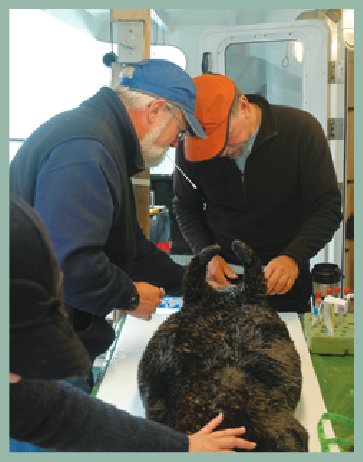 U.S. Geological Survey (USGS), Western Region: Coastal ecosystem responses to influences from land and sea, Coastal and