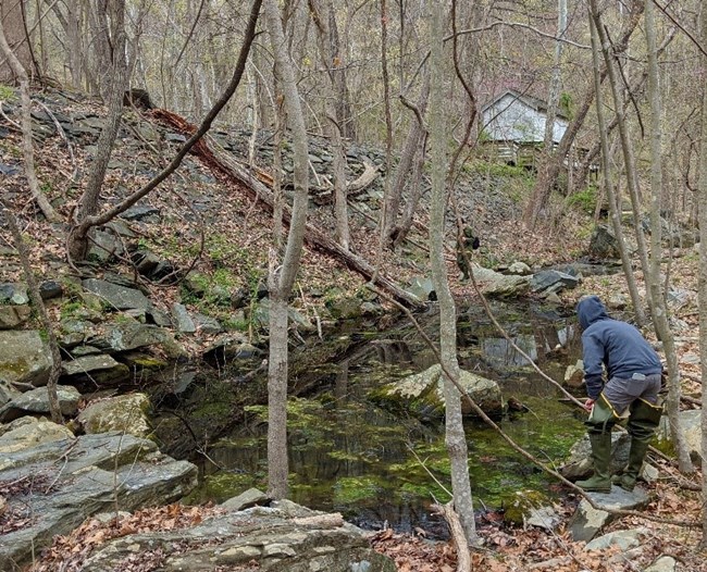 Field technicians surveying near a wetland