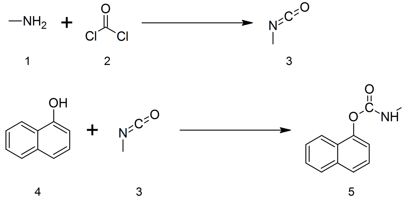 Process 1 for producing Carbaryl