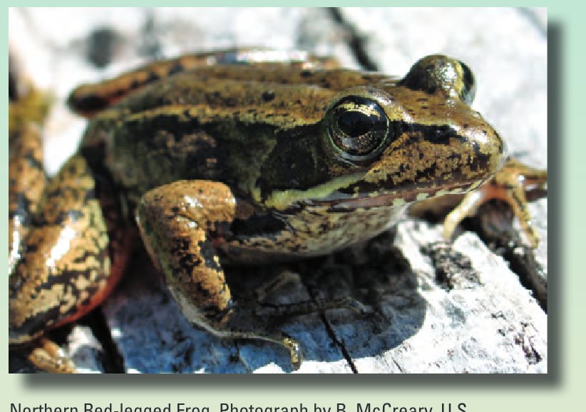 The U.S. Geological Survey Amphibian Research and Monitoring Initiative-2011 Annual Update