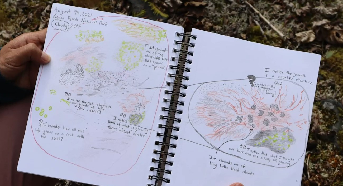 Hands holding a nature journal with sketches and notes on mosses and lichens.