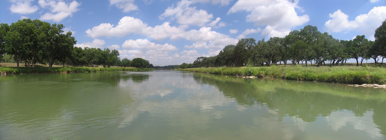A tree-lined river.