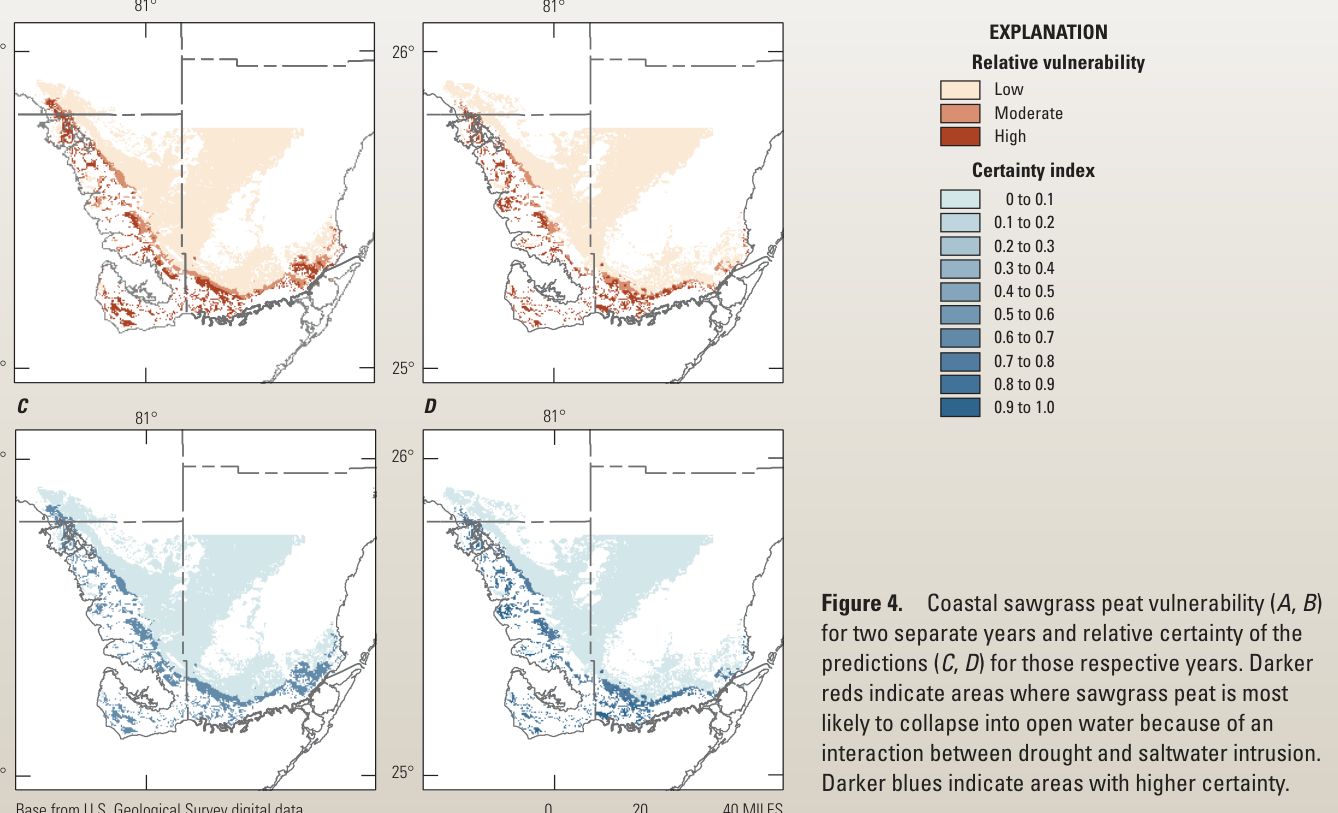 Four maps of the south Florida coast: sawgrass peat vulnerability in two years, and the certainty of each prediction