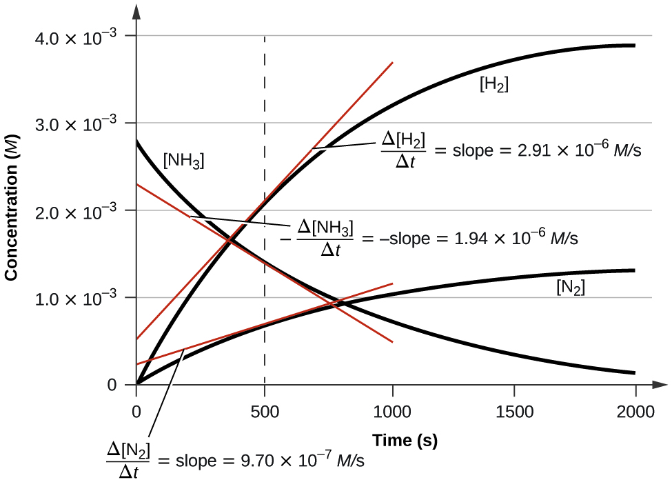A graph is shown with the label, “Time ( s ),” appearing on the x-axis and, “Concentration ( M ),” on the y-axis. The x-axis markings begin at 0 and end at 2000. The markings are labeled at intervals of 500. The y-axis begins at 0 and includes markings every 1.0 times 10 superscript negative 3, up to 4.0 times 10 superscript negative 3. A decreasing, concave up, non-linear curve is shown, which begins at about 2.8 times 10 superscript negative 3 on the y-axis and nearly reaches a value of 0 at the far right of the graph at the 2000 marking on the x-axis. This curve is labeled, “ N H subscript 3.” Two additional curves that are increasing and concave down are shown, both beginning at the origin. The lower of these two curves is labeled, “ N subscript 2 .” It reaches a value of approximately 1.25 times 10 superscript negative 3 at 2000 seconds. The final curve is labeled, “ H subscript 2 .” It reaches a value of about 3.9 times 10 superscript negative 3 at 2000 seconds. A red tangent line segment is drawn to each of the curves on the graph at 500 seconds. At 500 seconds on the x-axis, a vertical dashed line is shown. Next to the N H subscript 3 graph appears the equation “negative capital delta N H subscript 3 over capital delta t = negative slope = 1.94 times 10 superscript negative 6 M / s.” Next to the N subscript 2 graph appears the equation “negative capital delta N subscript 2 over capital delta t = negative slope = 9.70 times 10 superscript negative 7 M / s.” Next to the H subscript 2 graph appears the equation “negative capital delta H subscript 2 over capital delta t = negative slope = 2.91 times 10 superscript negative 6 M / s.”