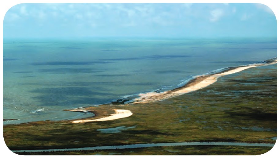 Shoreline erosion and beach displacement on Rockefeller Wildlife Refuge, Cameron Parish, La.