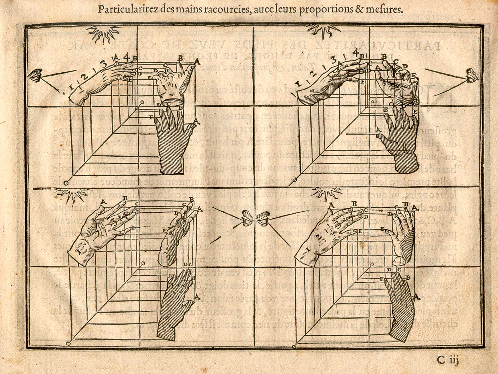 Twelve hands from many angles, some with measurements