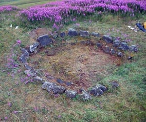 A ring of stones among wildflowers.