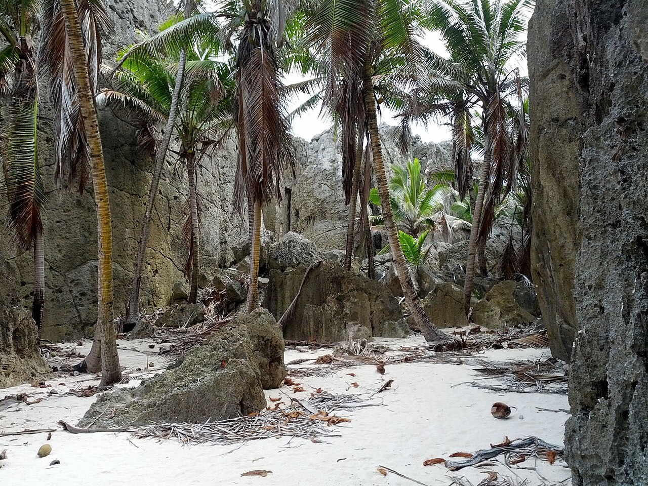 টোগো গিরিখাত