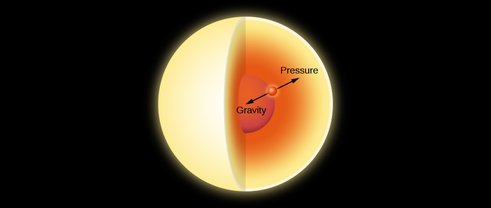 A cutaway of a star with a point where equal arrows show gravity pulling in and pressure pushing out