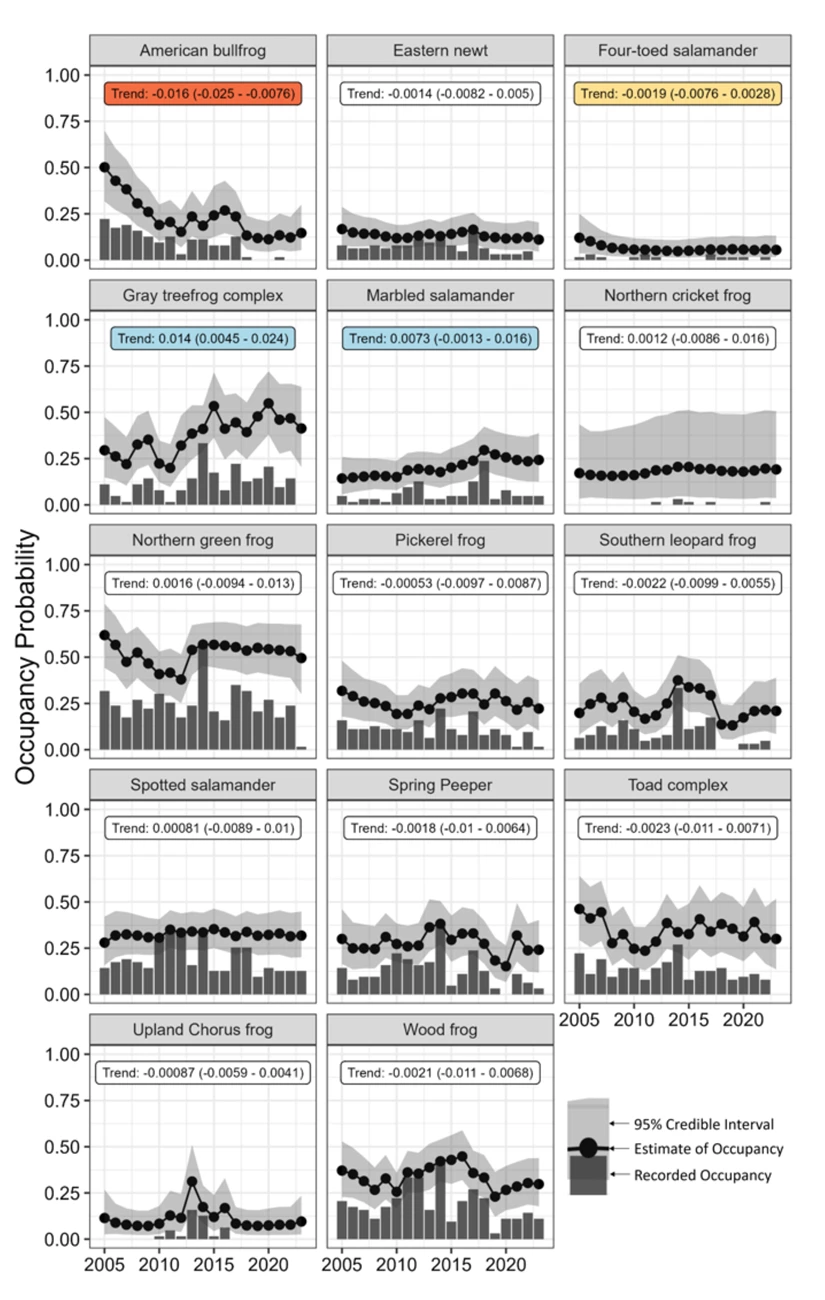 Occupancy graphs for each wetland amphibian species