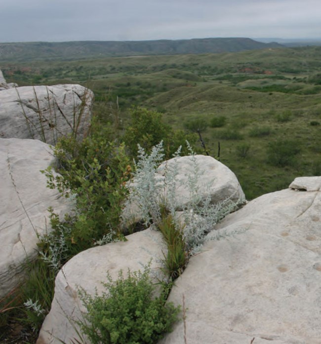 Alibates Dolomite outcrop overlooking the park landscape.