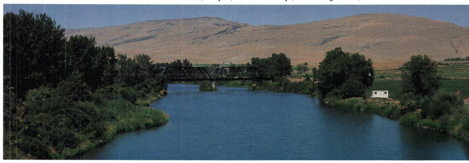 Persistence of the DDT pesticide in the Yakima River basin, Washington