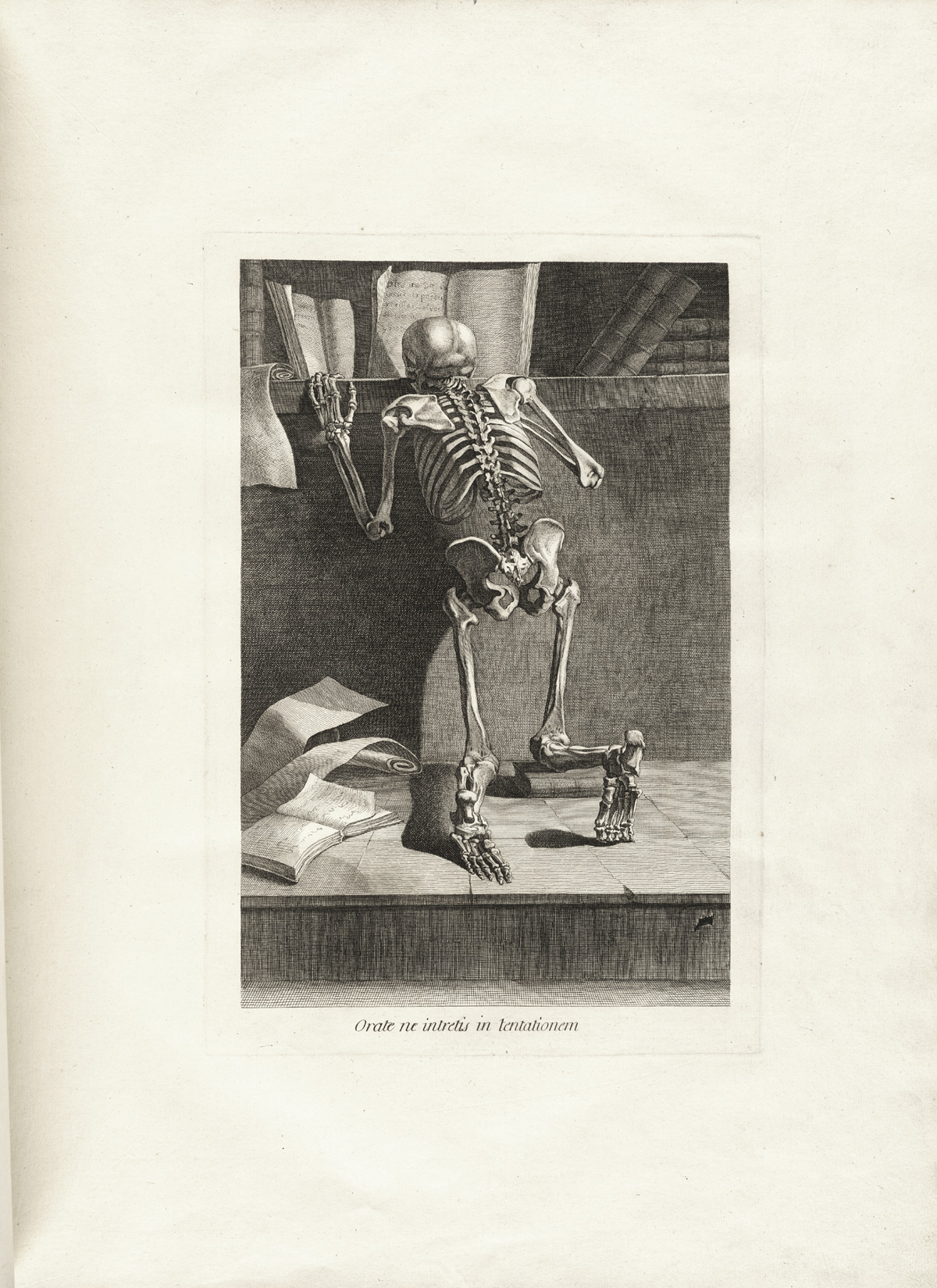 A skeleton kneeling with its back to the viewer, reading a book