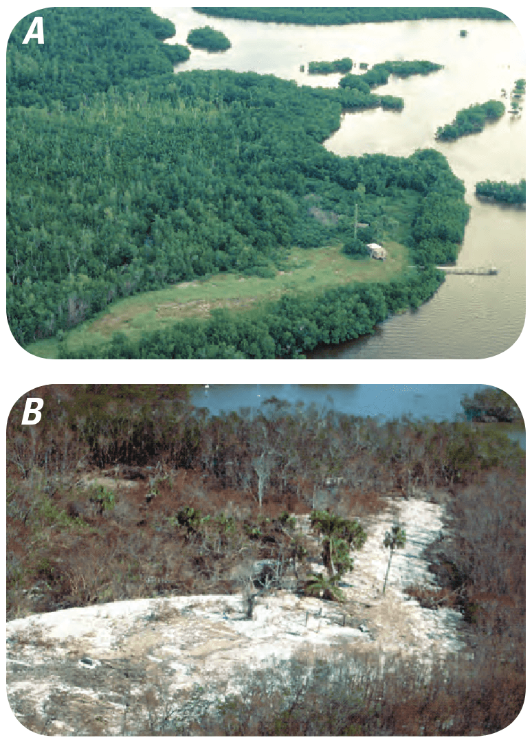 Lostmans River Ranger Station (LRS) in Florida in January 1998 (A), well after Hurricane Andrew (which hit in 1992), and in October 2005 (B), just after Hurricane Wilma.