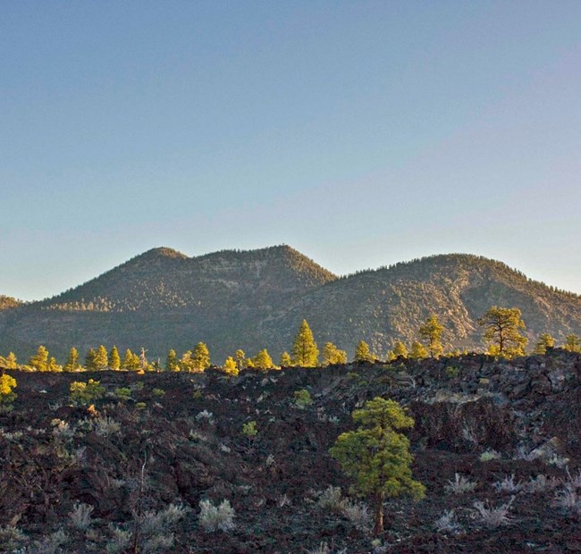 A lava flow field
