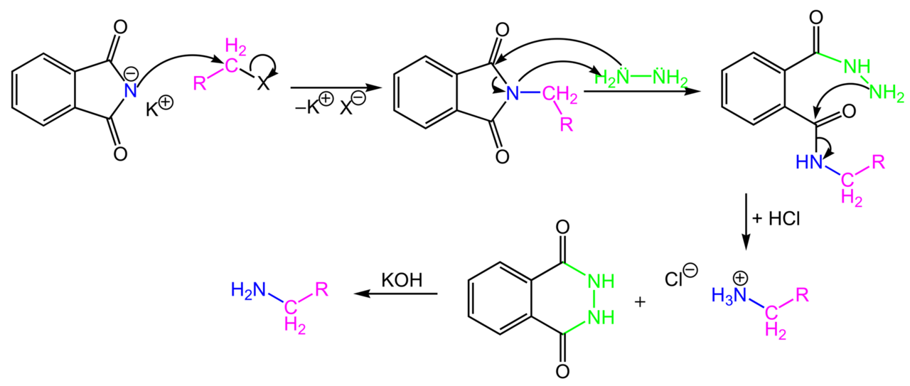 Gabriel synthesis mechanism