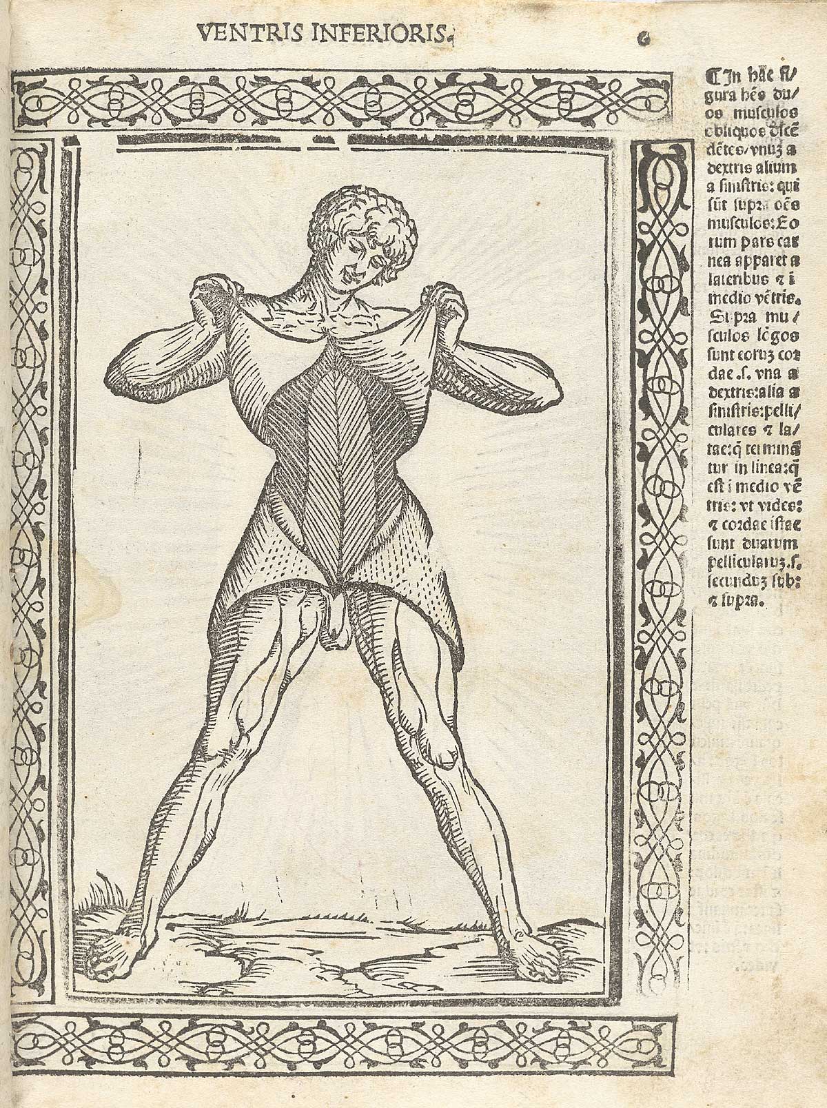 A standing man lifting his skin to reveal the abdominal muscles