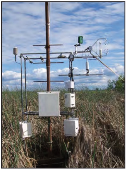 A meteorological tower with instrument boxes and sensors standing in marsh grasses