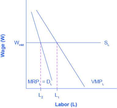 The graph shows the Marginal Product of Labor. The x-axis is Labor. The y-axis is Wage. A horizontal line indicating the going market wage projects from about halfway up the y-axis. Two curves are includesd in order to demonstrate the difference for firms with market power. The first curve represents normal firms, and proceeds from right to left in a downward direction; where it intersects the Wage horizontal line, it is point L1. The second curve, representing firms with market power, is steeper, and intersects the Wage line earlier (at a lower level of employment), at point L2, where the going market wage equal's the firm's marginal revenue product.